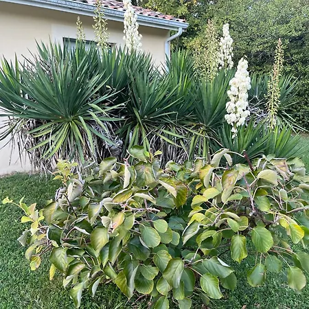 Vakantiehuis Maison De Avec Piscine *