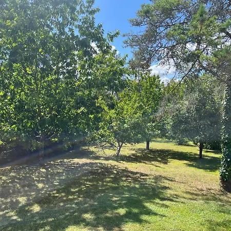 Maison De Avec Piscine