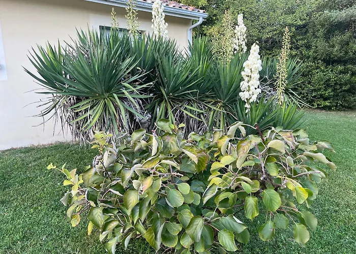 Сasa de vacaciones Maison De Avec Piscine *